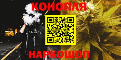 сатива Кунгур